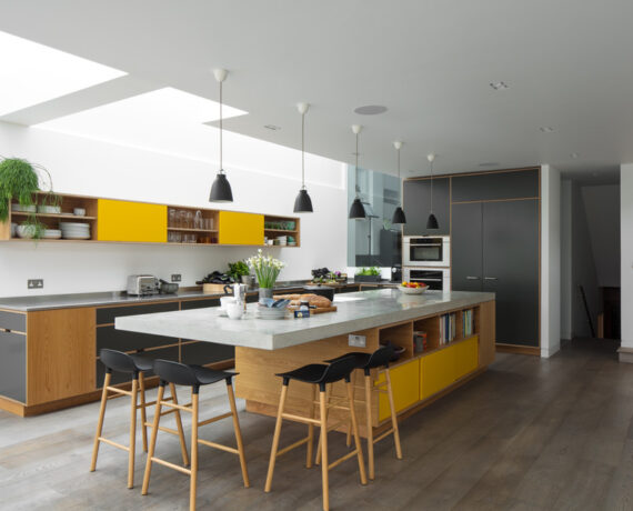 west-london-kitchen-and-living-room-uncommon-projects-ltd-img_f32137410aaf881c_9-8651-1-df81d2c